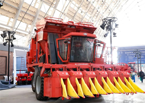 mg不朽情缘(中国)官方网站