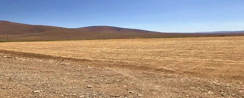 mg不朽情缘(中国)官方网站