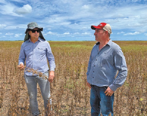 mg不朽情缘(中国)官方网站