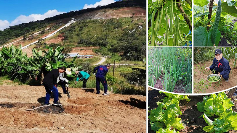 mg不朽情缘(中国)官方网站